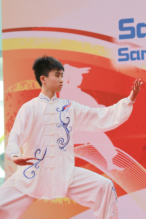 show of chinese kung fu  at Wushu Demonstrationのeditorial素材