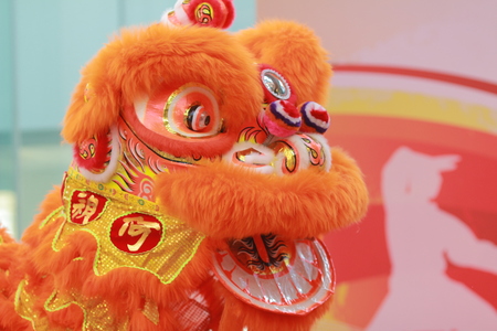  the lion mask of lion danceの写真素材