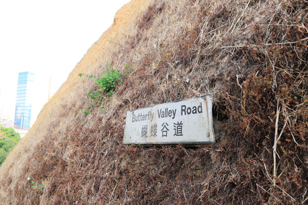 the hong kong style creativity signpostのeditorial素材