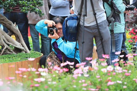 a  Flower show hong kong at Victoria Park