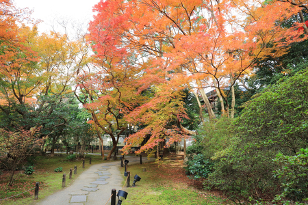 Palace contains a garden with massive old trees, の写真素材