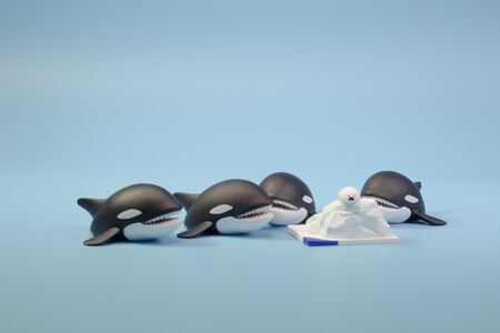 a  North Pole wildlife animal figureの写真素材