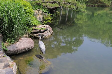 a Ritsurin Garden Kagawa Prefecture at Japanの写真素材