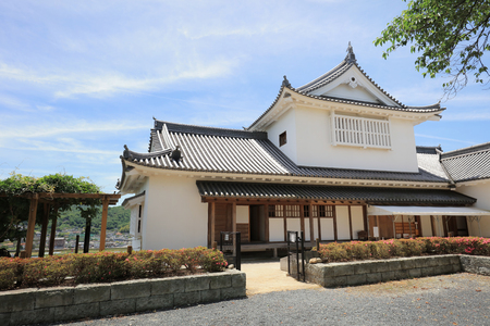Tsuyama castle view and at summer time Japanのeditorial素材
