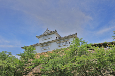 Tsuyama castle view and at summer time Japanのeditorial素材