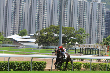 a Horse Racing at Hong Kong Jockey Club.のeditorial素材