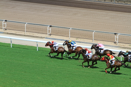 a Horse Racing at Hong Kong Jockey Club.のeditorial素材
