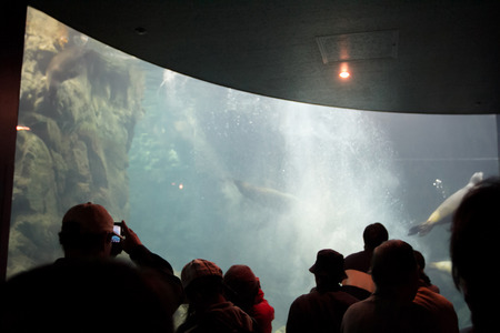 the Unidentified people enjoying of sea creatureのeditorial素材