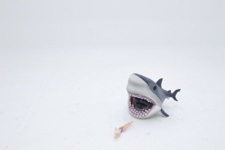 the great white shark attacking a femaleの写真素材