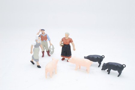 the toy farming people with the pigの写真素材