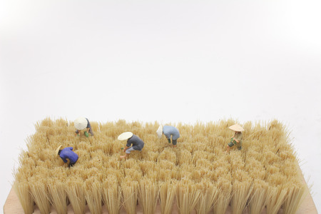 the fun of mini of  farmer workingの写真素材