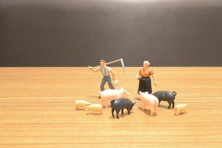 the mini of figure of the farmの写真素材