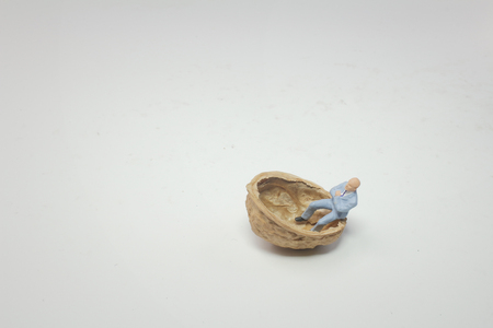 the fun of figure sit on the walnut.