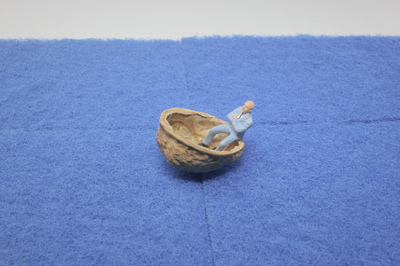 the fun of figure sit on the walnut.