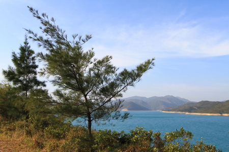 the landscape of hk MacLehose Trailの写真素材