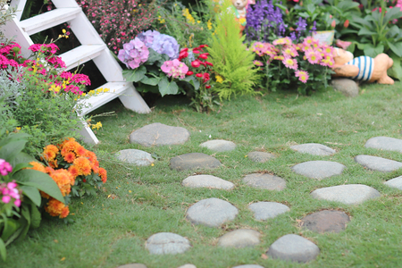 blooming flowersの写真素材