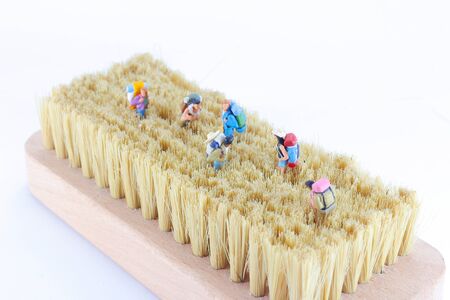 mini figure of travellers or backpackers walking on a brushの写真素材