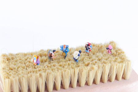 mini figures of travelers or backpackers walking on brushの写真素材