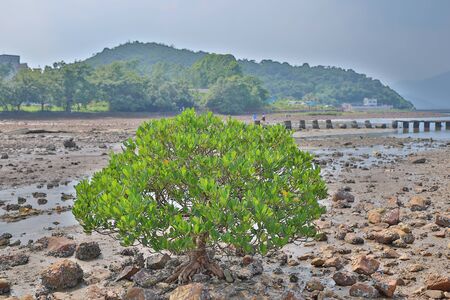 Nai Chung Pebbles Beach, hong kongの写真素材