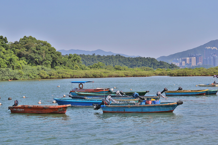 22 sept 2019 Ma Shi Chau Special Area tai poのeditorial素材