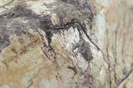 Texture Of Stone Surface of close up
