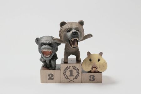 figure funny animals on winner podium competition.