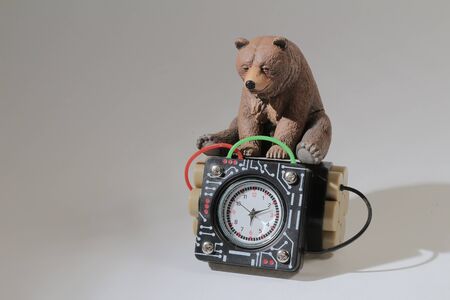 the scale of Time bomb withe the sleeping bearの写真素材