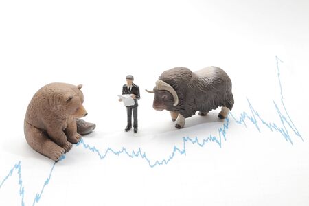 the figure of stock market idea, Bear and Bullの写真素材