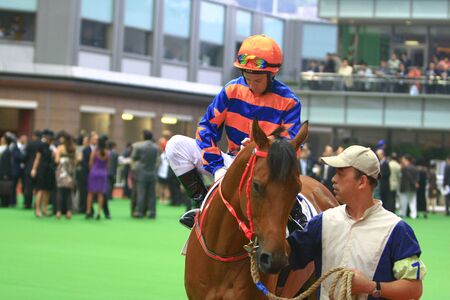 Horse with Jockey. Jockey is riding on the horse and prepare for racing Location:  12 Oct 2008 