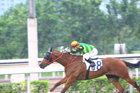 a Horse Racing. At Shatin , Hong Kong 12 Oct 2008 
