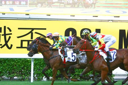 The Horse Racing at Hong Kong Jockey Club. 19 Oct 2008