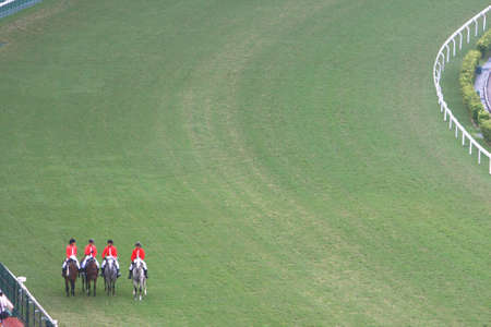 horse racing in Shatian racing field of Hongkong jockey club  19 Oct 2008のeditorial素材
