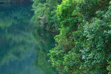 Tai Tam reservoir in Hong Kong Island 15 Nov 2008 の写真素材