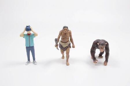 the scale of figure of Human Evolution