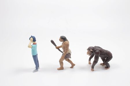 the scale of figure of Human Evolution