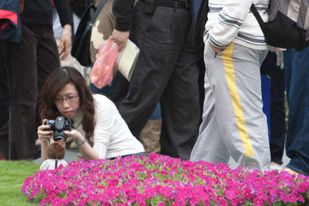 Flower show hong kong at Victoria Park. Beautiful, house. 21 March 2008のeditorial素材