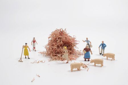 a mini of figure of the farm. , The mini of figure of the farm.の写真素材