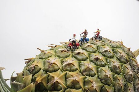a fun of mini figure ride the motorbike on pineappleの写真素材