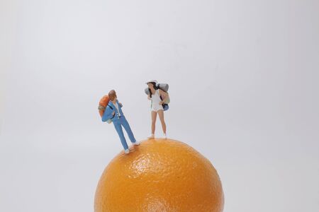 a mini fun of figure with the orangesの写真素材