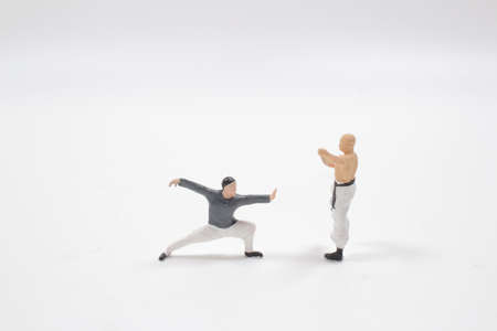 the mini of chinese Shaolin warriors monk