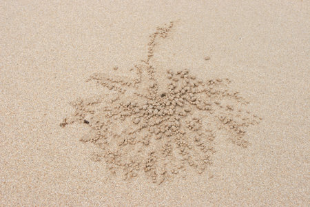 nature view of Shek O Country Park at hong kongの写真素材