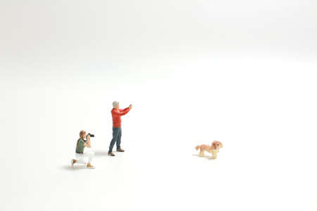 mini photographer taking a photo of petの写真素材