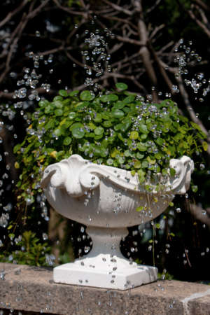 a Flower pot. Hang, flowerpot. at the prakの写真素材