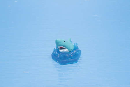 Shark toy isolated on a blue back ground.の写真素材