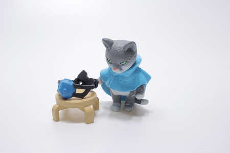 a fun of cat figure wear the maskの写真素材