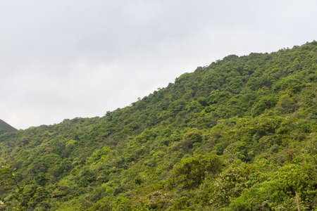 the landscape view of Mount Collinson, hong kongの写真素材