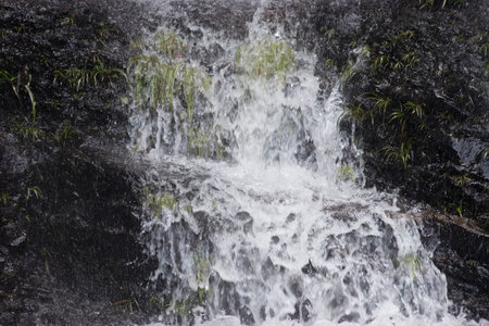 Beautiful waterfall in the forest, Bride Pool hong kong