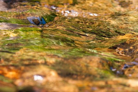 the Stream and Brides Pool Waterfall in Hong Kong.