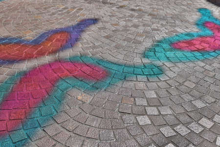 6 Feb 2021 the color of butterfly shadow on the plaza
