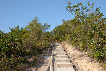 The nature view at Tai Tam Country Park